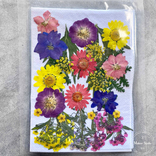 Blue & Yellow Multi Dried Flowers