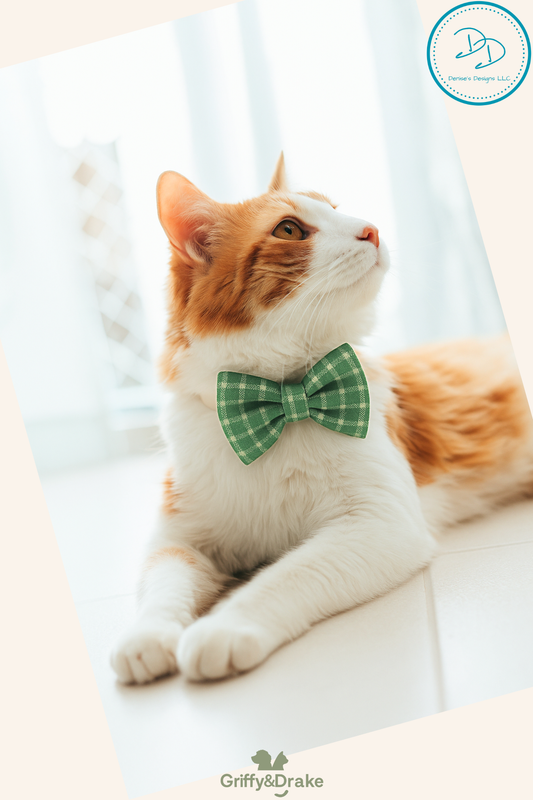 Pet Accessories
