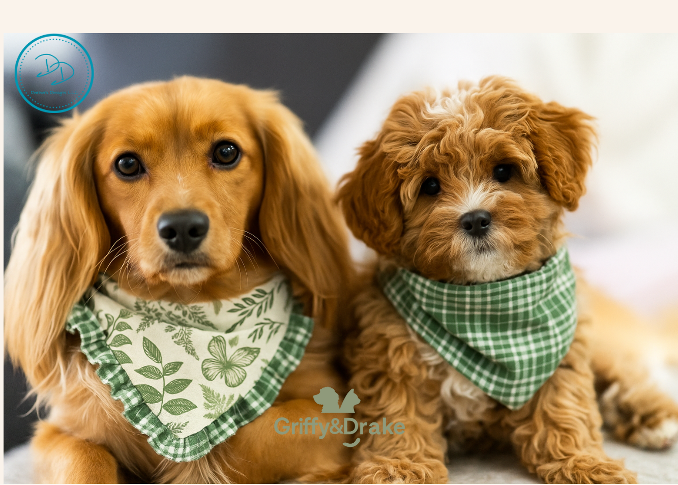Pet Accessories