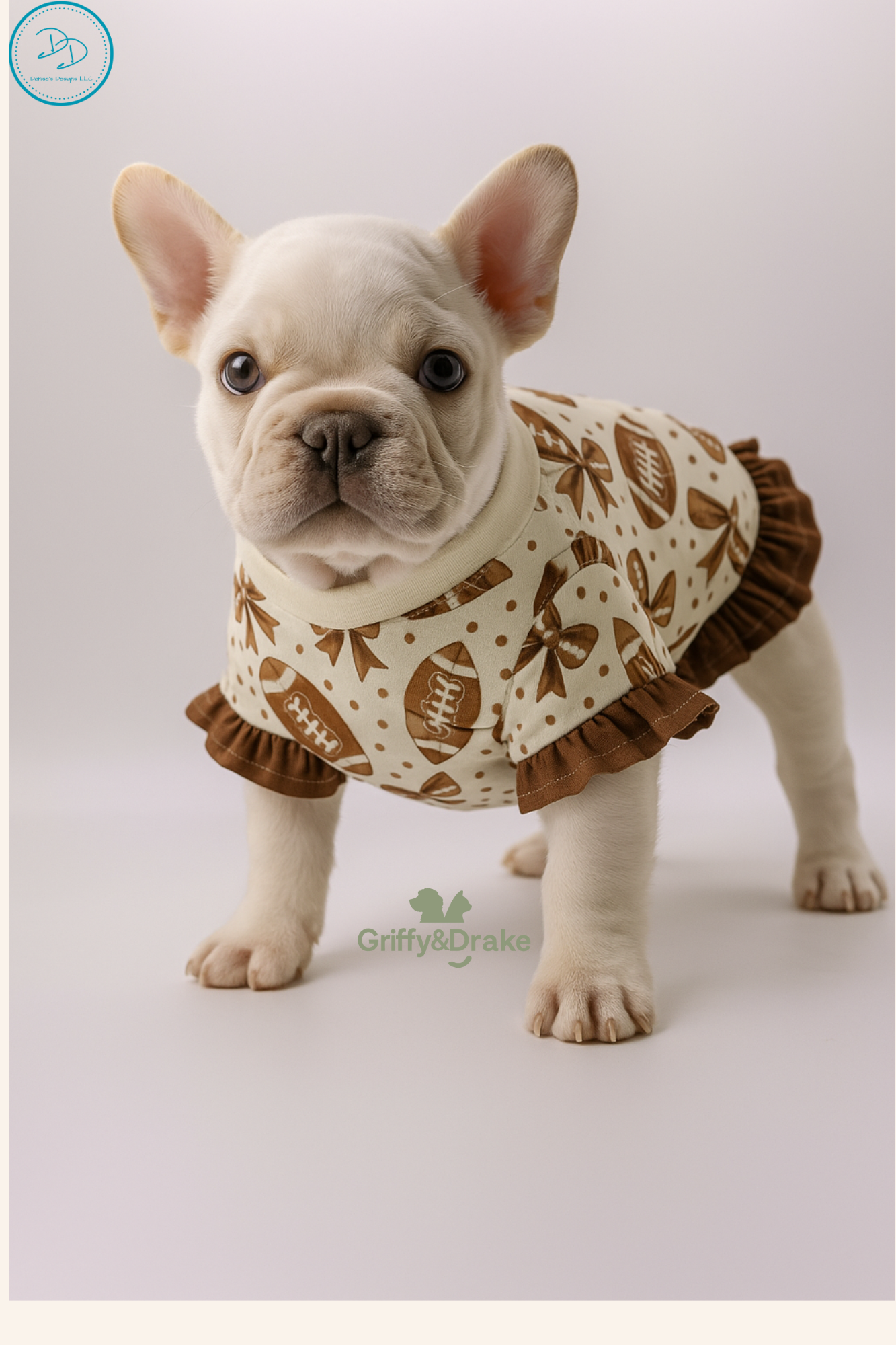 Pet Accessories