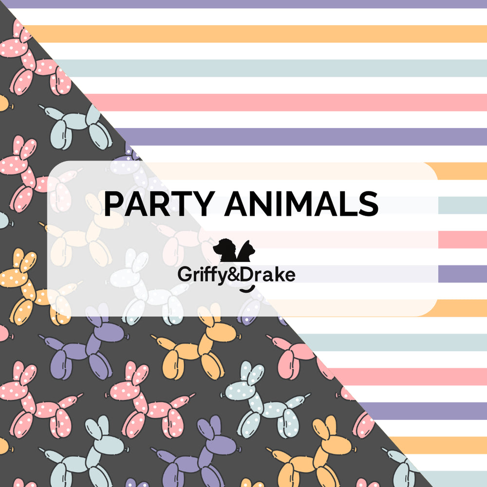 Pet Accessories
