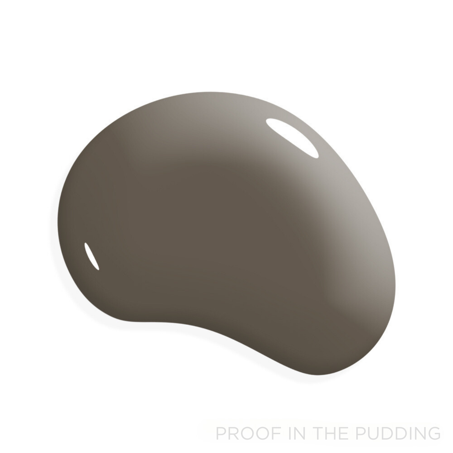 Proof in the Pudding - Manor Borne Wall Paint